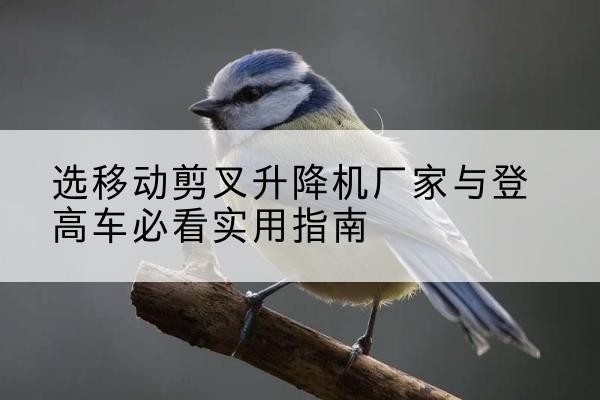 奉节电动升降机厂家-选移动剪叉升降机厂家与登高车必看实用指南
