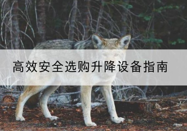 奉节升降货梯厂家推荐-*安全选购升降设备指南